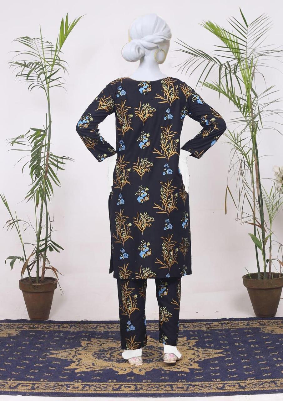2 Pcs Women's Stitched Linen Printed Shirt And Trouser