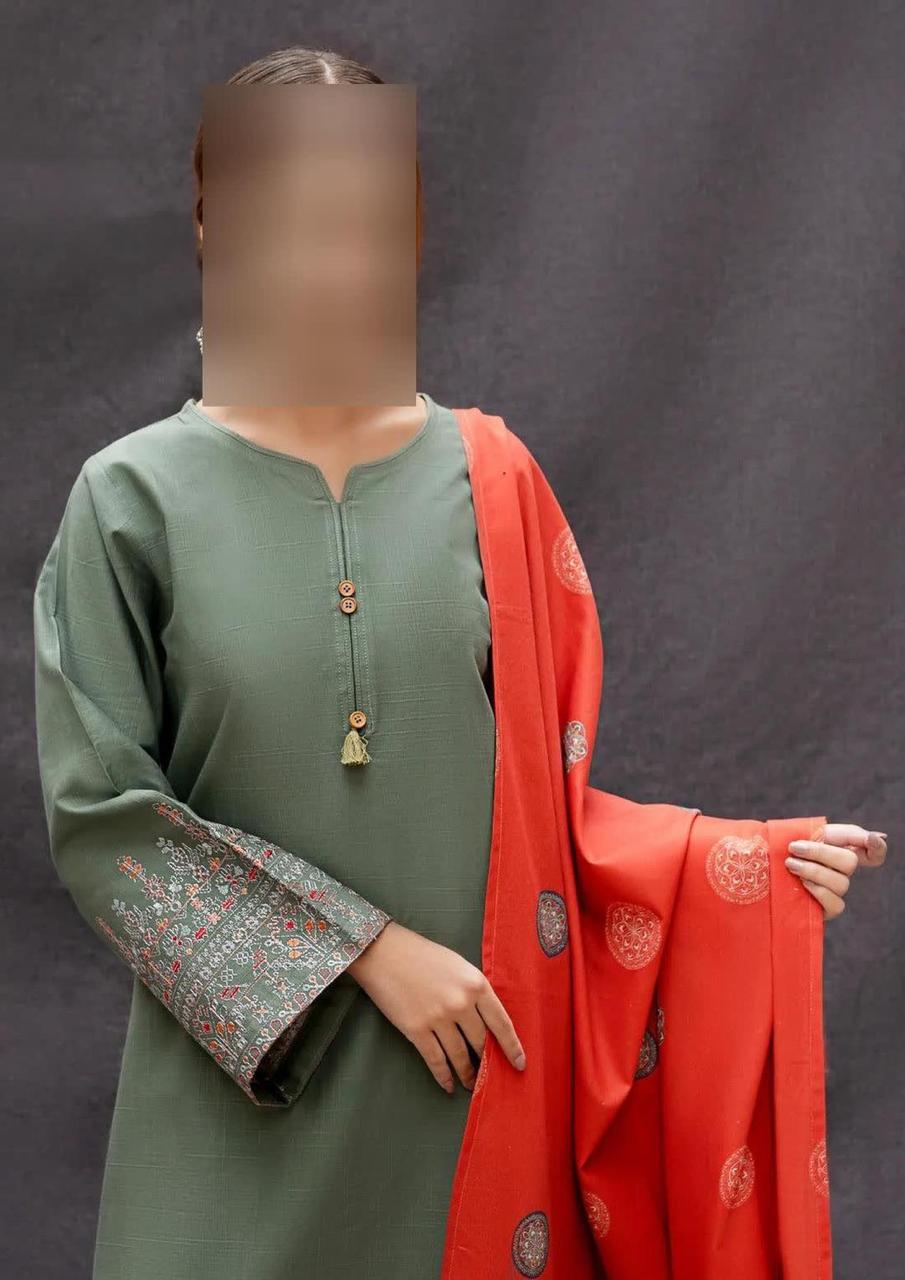 3 Pcs Women's Unstitched Embroidered Suit