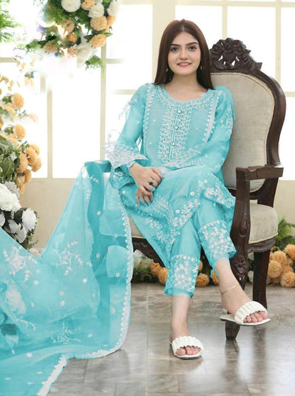 3 Pcs Women's Stitched Embroidered Suit